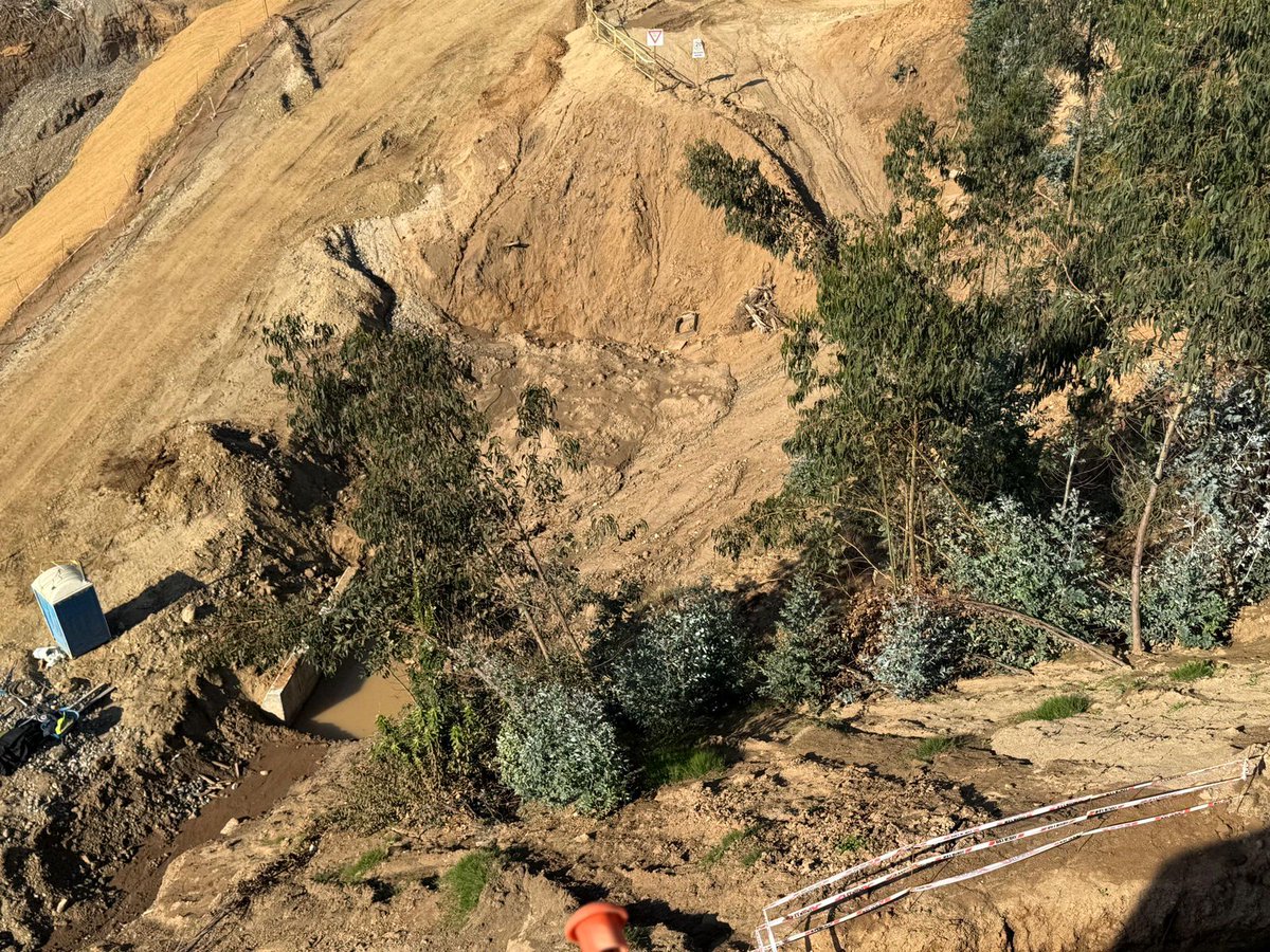 Servicio de Salud Maule tweet media