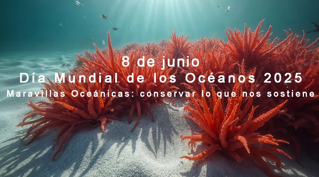🌊⭐️🐟 Inspirados en su belleza, su misterio y su papel vital en nuestra vida y en el planeta, celebramos #hoy #DíaMundialDeLosOcéanos, con el tema “Maravillas oceánicas: conservar lo que nos sostiene”. #SalvemosLosOcéanos #TareaVida #Cuba <a href="/citmacuba/">Ministerio de Ciencia, Tecnología y Medio Ambiente</a>  <a href="/ONU_es/">Naciones Unidas</a> <a href="/ArmandoRguezB/">Armando</a>
