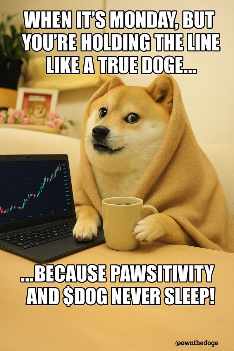 Mondays might be ruff, but a true Doge never backs down💯.
 Let's start the week with some tail-wagging energy and pawsitive vibes✨✨
