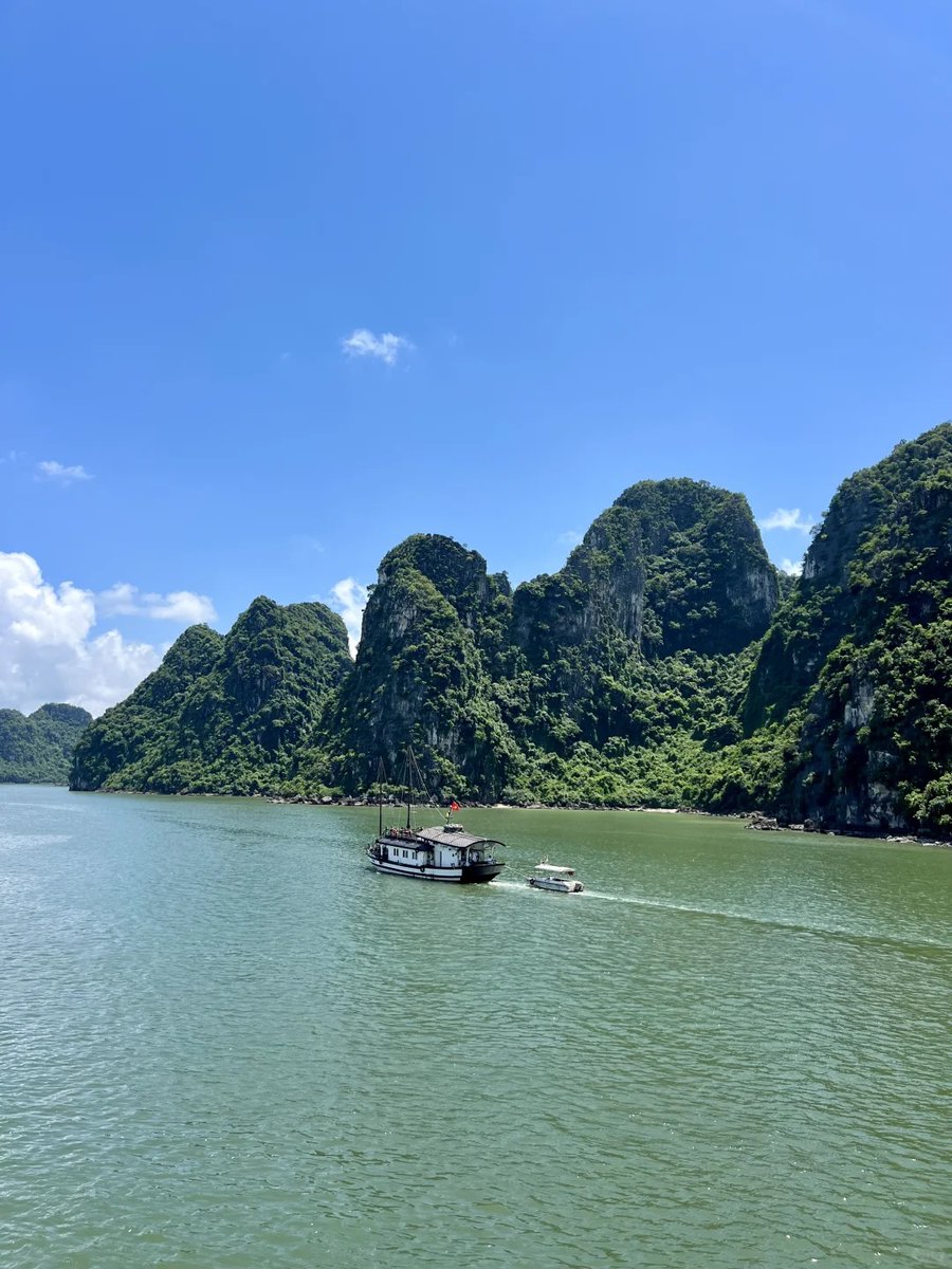 whatThese_on's tweet image. 