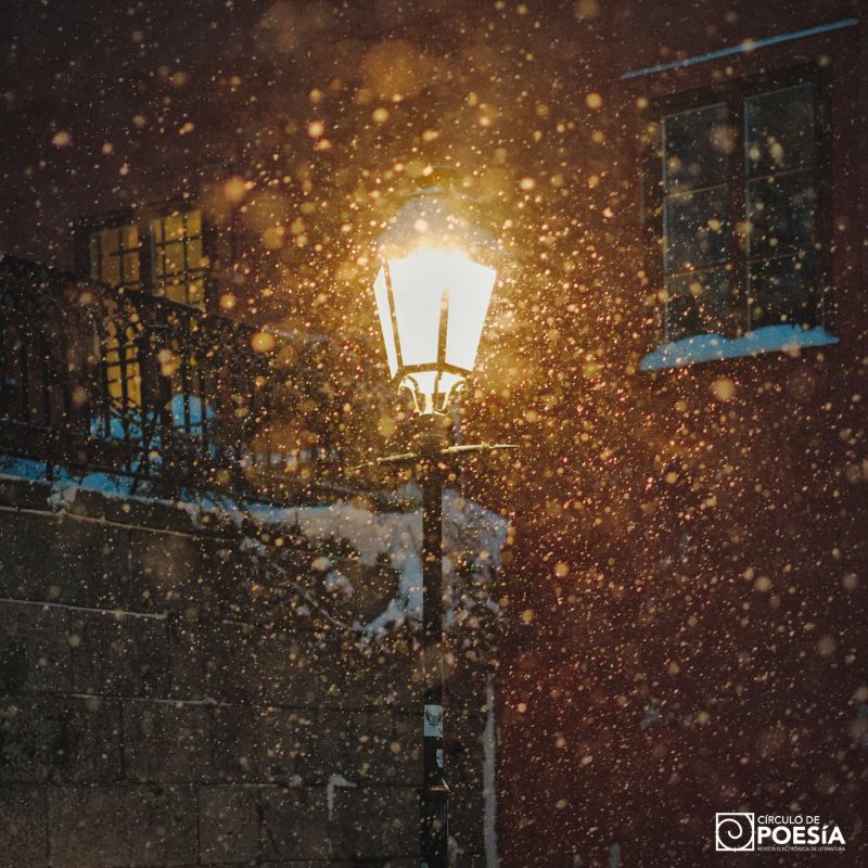 circulodepoesia's tweet photo. Leemos poesía rusa documental. Es una serie de textos que Vladímir Korkunov trabajó con personas sordociegas recopilando, durante varios años, sus monólogos sobre aquello que vieron o escucharon por última vez.
.
Traducción de Indira Díaz
https://t.co/HaO690HRJT https://t.co/BrmMkeVADN