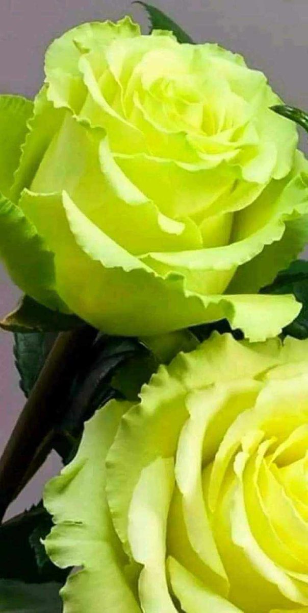 يارب رضاك (@_20rm) on Twitter photo ,🐣🐥#فرز_مسائي🐥🐣
#فرز_نشط
💫#بداية💫
⇣
🌟🌟
🌟🌟
❁↡↡❁↡↡❁
📍
⤵️⤵️
🦋🦋
🐣<a href="/bs___m10/">فرز🔥بسمة🐣🥀</a>🐣
🐣<a href="/bs___m10/">فرز🔥بسمة🐣🥀</a>🐣
🦋🌙🦋
📍
⤵️⤵️
🦋🦋
🐣<a href="/ss____ij7/">فرز جنون 🔥</a>🐣
🐣<a href="/ss____ij7/">فرز جنون 🔥</a>🐣
🦋🦋
By :
💫<a href="/A_m_d27/">جنون اقلام</a>💫
موفقين الجميع ♥️♥️
🦋🦋🦋🦋 ,🐣🐥#فرز_مسائي🐥🐣
#فرز_نشط
💫#بداية💫
⇣
🌟🌟
🌟🌟
❁↡↡❁↡↡❁
📍
⤵️⤵️
🦋🦋
🐣<a href="/bs___m10/">فرز🔥بسمة🐣🥀</a>🐣
🐣<a href="/bs___m10/">فرز🔥بسمة🐣🥀</a>🐣
🦋🌙🦋
📍
⤵️⤵️
🦋🦋
🐣<a href="/ss____ij7/">فرز جنون 🔥</a>🐣
🐣<a href="/ss____ij7/">فرز جنون 🔥</a>🐣
🦋🦋
By :
💫<a href="/A_m_d27/">جنون اقلام</a>💫
موفقين الجميع ♥️♥️
🦋🦋🦋🦋
