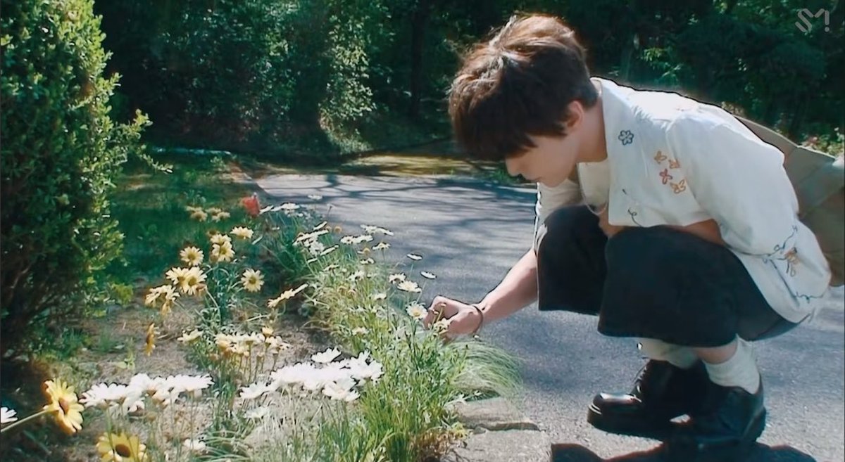 🍀🌿🌱🍃🌳🫧🪽💭