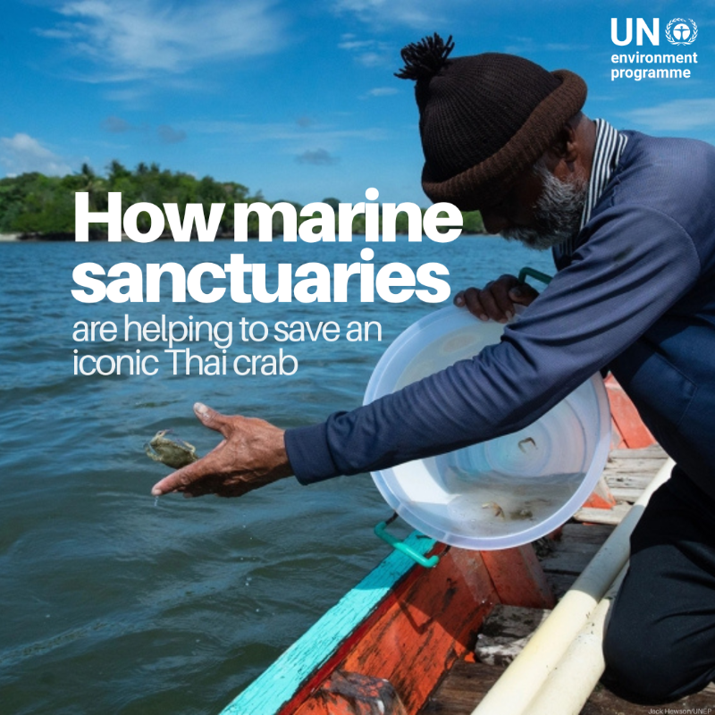 “The blue swimming crab is key to our livelihoods. I worry about what the next generation will have left if we don't change our ways.”

Crabs sustain the economy and boost food security for many coastal communities, and UNEP works with them to preserve these essential marine