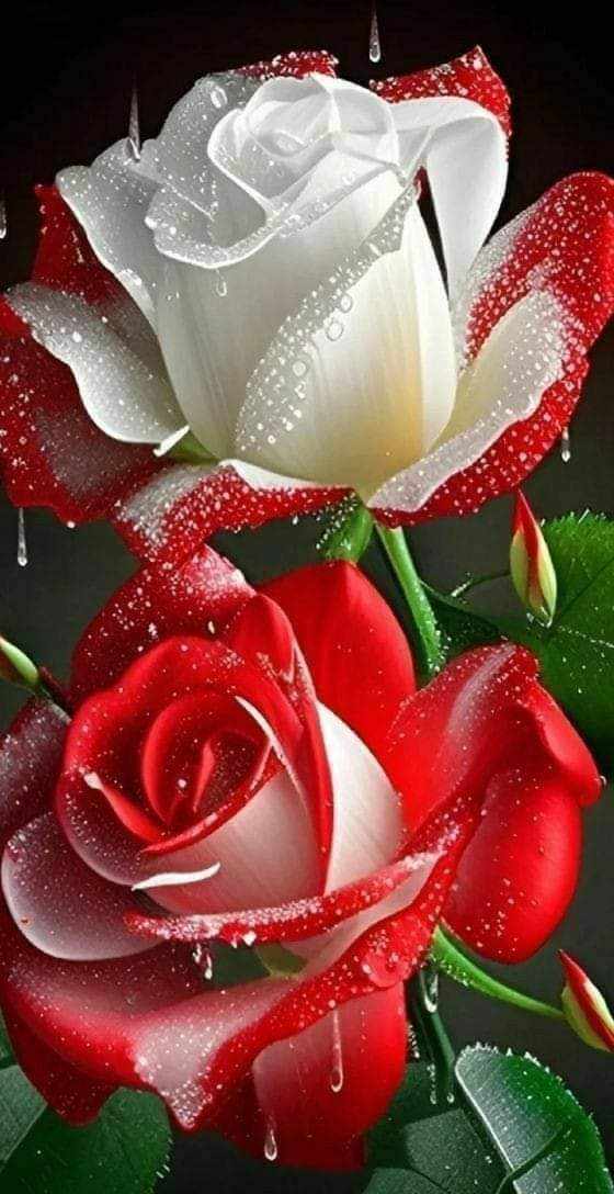 يارب رضاك (@_20rm) on Twitter photo ,🐣🐥#فرز_مسائي🐥🐣
#فرز_نشط
💫#بداية💫
⇣
🌟🌟
🌟🌟
❁↡↡❁↡↡❁
📍
⤵️⤵️
🦋🦋
🐣<a href="/bs___m10/">فرز🔥بسمة🐣🥀</a>🐣
🐣<a href="/bs___m10/">فرز🔥بسمة🐣🥀</a>🐣
🦋🌙🦋
📍
⤵️⤵️
🦋🦋
🐣<a href="/ss____ij7/">فرز جنون 🔥</a>🐣
🐣<a href="/ss____ij7/">فرز جنون 🔥</a>🐣
🦋🦋
By :
💫<a href="/A_m_d27/">جنون اقلام</a>💫
موفقين الجميع ♥️♥️
🦋🦋🦋🦋🦋🦋 ,🐣🐥#فرز_مسائي🐥🐣
#فرز_نشط
💫#بداية💫
⇣
🌟🌟
🌟🌟
❁↡↡❁↡↡❁
📍
⤵️⤵️
🦋🦋
🐣<a href="/bs___m10/">فرز🔥بسمة🐣🥀</a>🐣
🐣<a href="/bs___m10/">فرز🔥بسمة🐣🥀</a>🐣
🦋🌙🦋
📍
⤵️⤵️
🦋🦋
🐣<a href="/ss____ij7/">فرز جنون 🔥</a>🐣
🐣<a href="/ss____ij7/">فرز جنون 🔥</a>🐣
🦋🦋
By :
💫<a href="/A_m_d27/">جنون اقلام</a>💫
موفقين الجميع ♥️♥️
🦋🦋🦋🦋🦋🦋