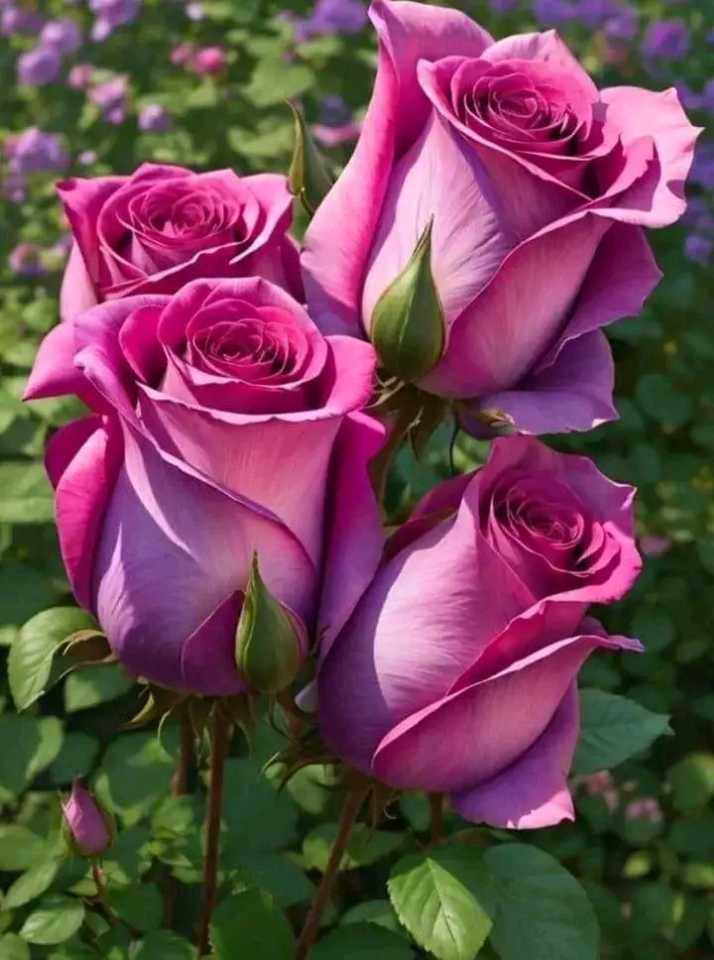 يارب رضاك (@_20rm) on Twitter photo ,🐣🐥#فرز_مسائي🐥🐣
#فرز_نشط
💫#بداية💫
⇣
🌟🌟
🌟🌟
❁↡↡❁↡↡❁
📍
⤵️⤵️
🦋🦋
🐣<a href="/bs___m10/">فرز🔥بسمة🐣🥀</a>🐣
🐣<a href="/bs___m10/">فرز🔥بسمة🐣🥀</a>🐣
🦋🌙🦋
📍
⤵️⤵️
🦋🦋
🐣<a href="/ss____ij7/">فرز جنون 🔥</a>🐣
🐣<a href="/ss____ij7/">فرز جنون 🔥</a>🐣
🦋🦋
By :
💫<a href="/A_m_d27/">جنون اقلام</a>💫
موفقين الجميع ♥️♥️
🍂🦋🍂🦋🍂🦋 ,🐣🐥#فرز_مسائي🐥🐣
#فرز_نشط
💫#بداية💫
⇣
🌟🌟
🌟🌟
❁↡↡❁↡↡❁
📍
⤵️⤵️
🦋🦋
🐣<a href="/bs___m10/">فرز🔥بسمة🐣🥀</a>🐣
🐣<a href="/bs___m10/">فرز🔥بسمة🐣🥀</a>🐣
🦋🌙🦋
📍
⤵️⤵️
🦋🦋
🐣<a href="/ss____ij7/">فرز جنون 🔥</a>🐣
🐣<a href="/ss____ij7/">فرز جنون 🔥</a>🐣
🦋🦋
By :
💫<a href="/A_m_d27/">جنون اقلام</a>💫
موفقين الجميع ♥️♥️
🍂🦋🍂🦋🍂🦋