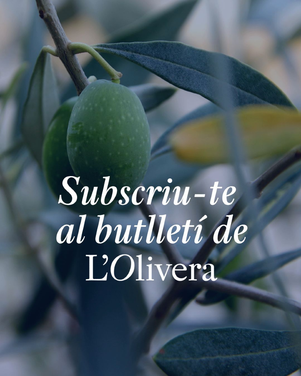 L'Olivera (@olivera_coop) on Twitter photo 🫒Subscriu-te al butlletí de L'Olivera, hi trobaràs propostes úniques i coneixeràs el dia a dia i les persones darrere d'un projecte amb més de cinquanta anys d'història.
Forma part de la comunitat de L'Olivera!
👉olivera.org 🫒Subscriu-te al butlletí de L'Olivera, hi trobaràs propostes úniques i coneixeràs el dia a dia i les persones darrere d'un projecte amb més de cinquanta anys d'història.
Forma part de la comunitat de L'Olivera!
👉olivera.org
