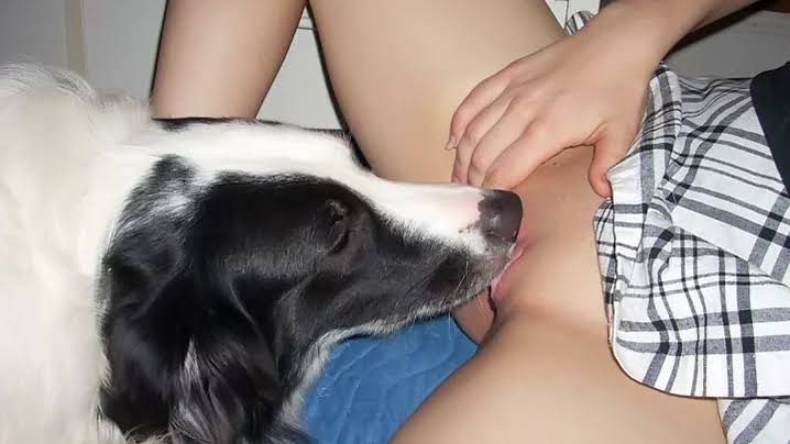 EVRY_KNOTT's tweet photo. Do not miss this new videos
super quality and satisfying 
https://t.co/Dotj6eGlW7
knottysonya1 click the link above t and message me for full videos #zoophillia
#zoosarevalid #beastiality #dogknot #zooprideisvalid #zoophile #hypnotistzoophilesarevalid
#zoophiletwt #zootwt #zoodog https://t.co/RA1wmDMvLM