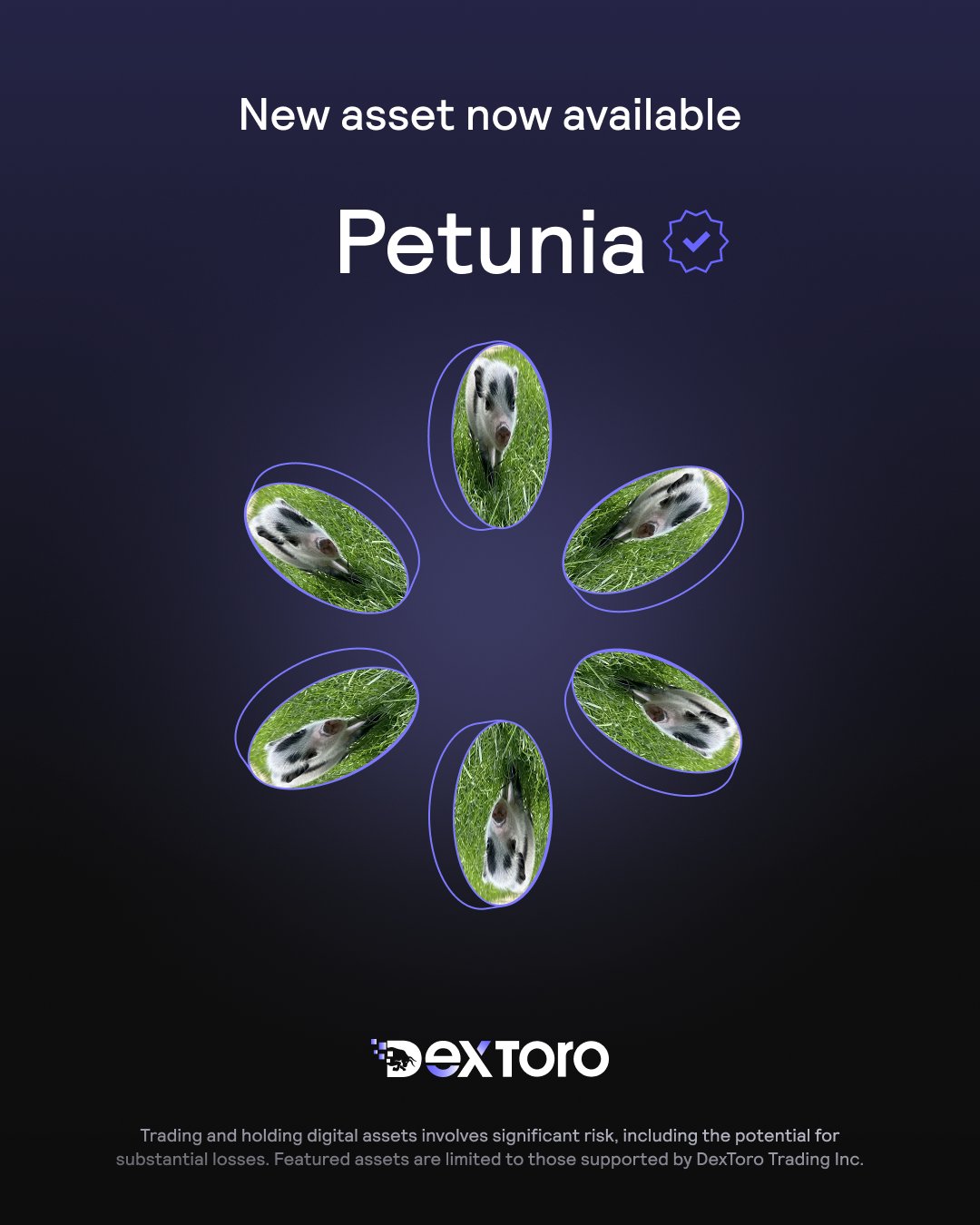 Princess Petunia | Fan Page (@ThePetuniaOnSol) / X