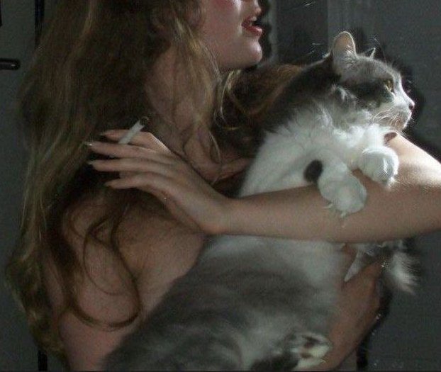 𝒥 (@suaverotic) on Twitter photo 