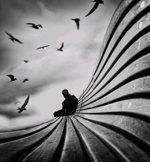 fieldofmiracles's tweet photo. "Dreaming"

Photographer ... Filippo Rizzi 🦋 https://t.co/AhIFV8B5ga