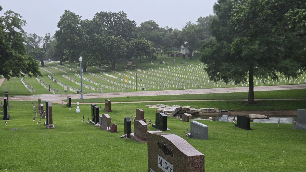 J Stuart Wolf Jr MD FACS tweet media