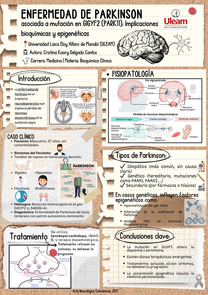 kaorydelcan's tweet photo. 🧠 ¿Qué ocurre cuando la dopamina se agota y el cerebro comienza a dañarse desde adentro?
✅ La muerte ☠️ de neuronas dopaminérgicas en la sustancia negra rompe 🔨 el equilibrio ⚖️ neuroquímico. 🧠
@UleamEcuador @Anghelo77ac #UleamEsAcademia #UleamEnBuenasManos https://t.co/fl50FeCHHt