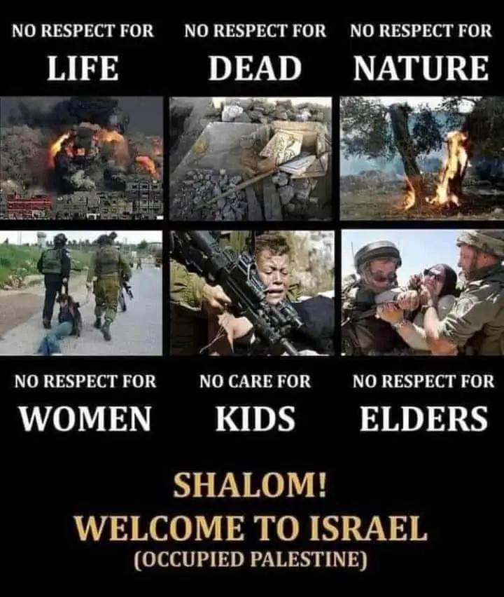 No need to be #Jewish to support #IsraelTerroristState. You need to be a #psychopath.

N.. You don’t need to be #Muslims to stand for #Palestine, you just need to be human.

HUMAN! 

Maybe they are (pro #Zionists) not human, MAYBE!

#StandWithPalestine #FreePalestine #MonacoGP