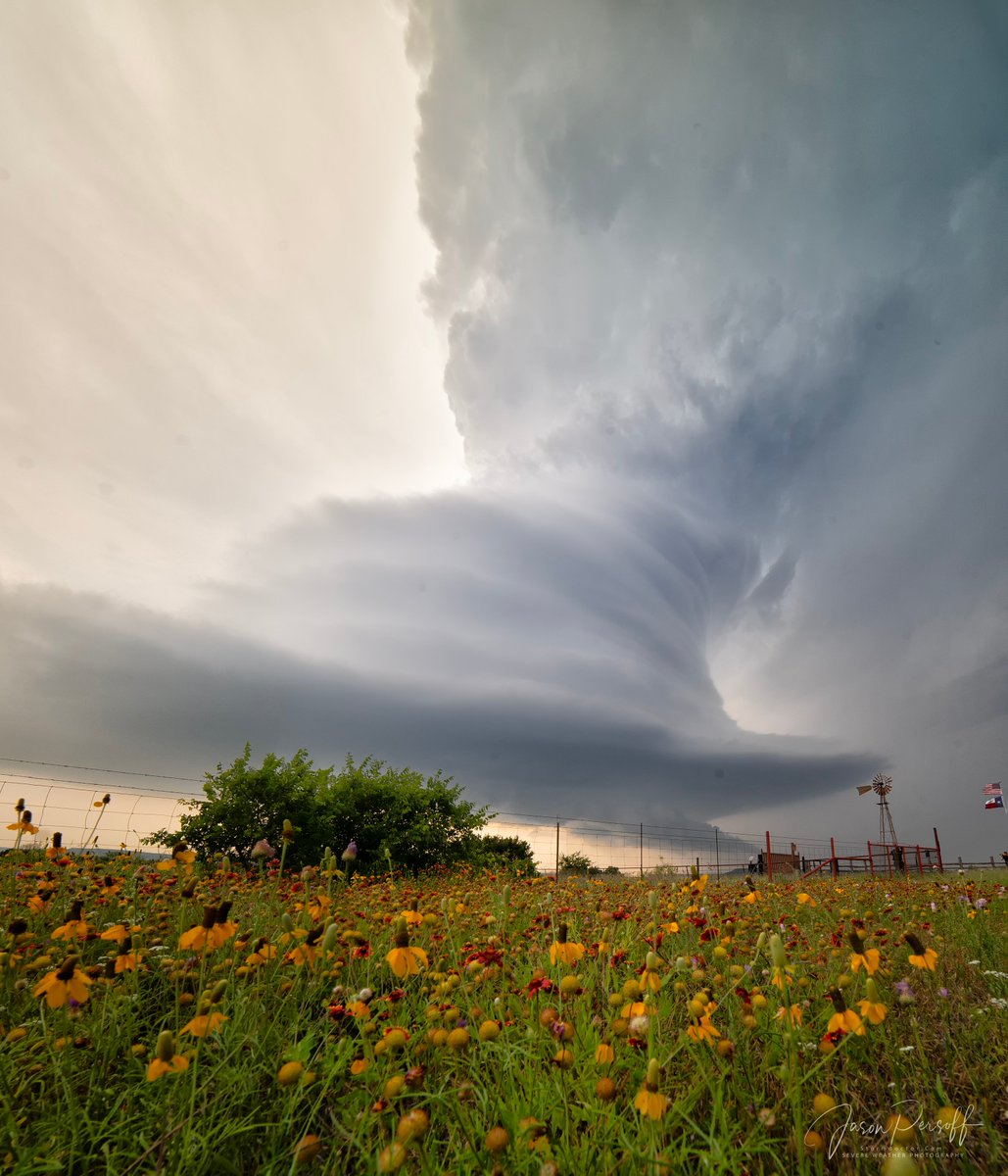 From May 22--this is a 12 shot vertical panorama with a 14mm lens--this storm was amazing with sooo many striations and wildflowers from Palo Pinto, TX. Had a great time with a GREAT crew. <a href="/scottmcpartland/">Scott McPartland</a> <a href="/ChrisKridler/">Chris Kridler</a> <a href="/facethewind_com/">Dave Lewison</a> <a href="/AletheaKontis/">Alethea Kontis 알리티아</a>