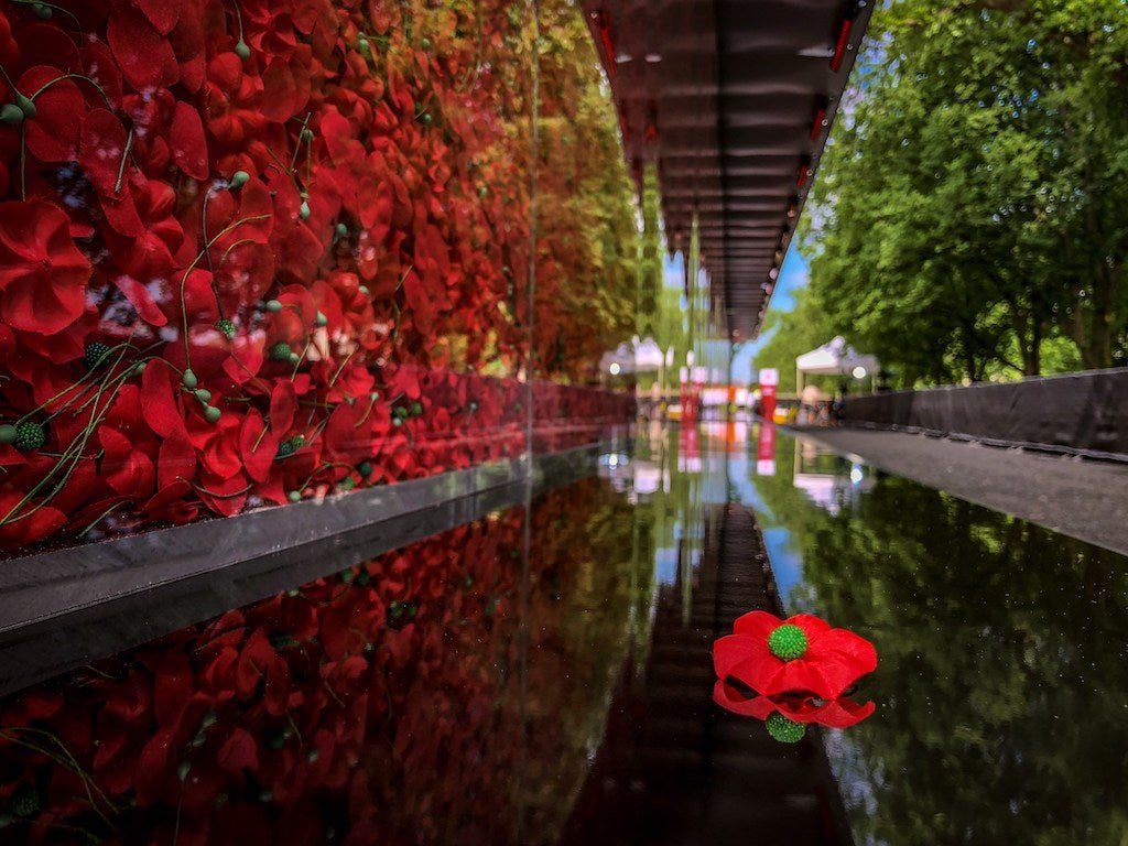 SoniCubed's tweet photo. 645,000 American servicemembers who gave their lives in service to our nation since World War I – returns to the National Mall in Washington, D.C. for Memorial Day weekend #PoppyInMemory https://t.co/6uwODGryTD