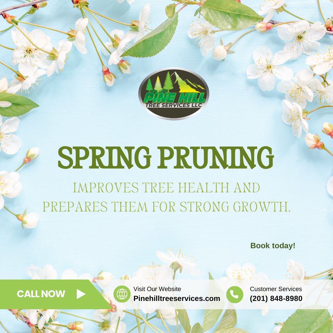 PineHillTS's tweet image. 🌿🌸 Spring is the perfect time for pruning! 
Give your trees and plants a fresh start with our professional pruning services. Healthy growth starts here! 🌳✂️ 

Contact us today! 📞 

#SpringPruning #HealthyTrees