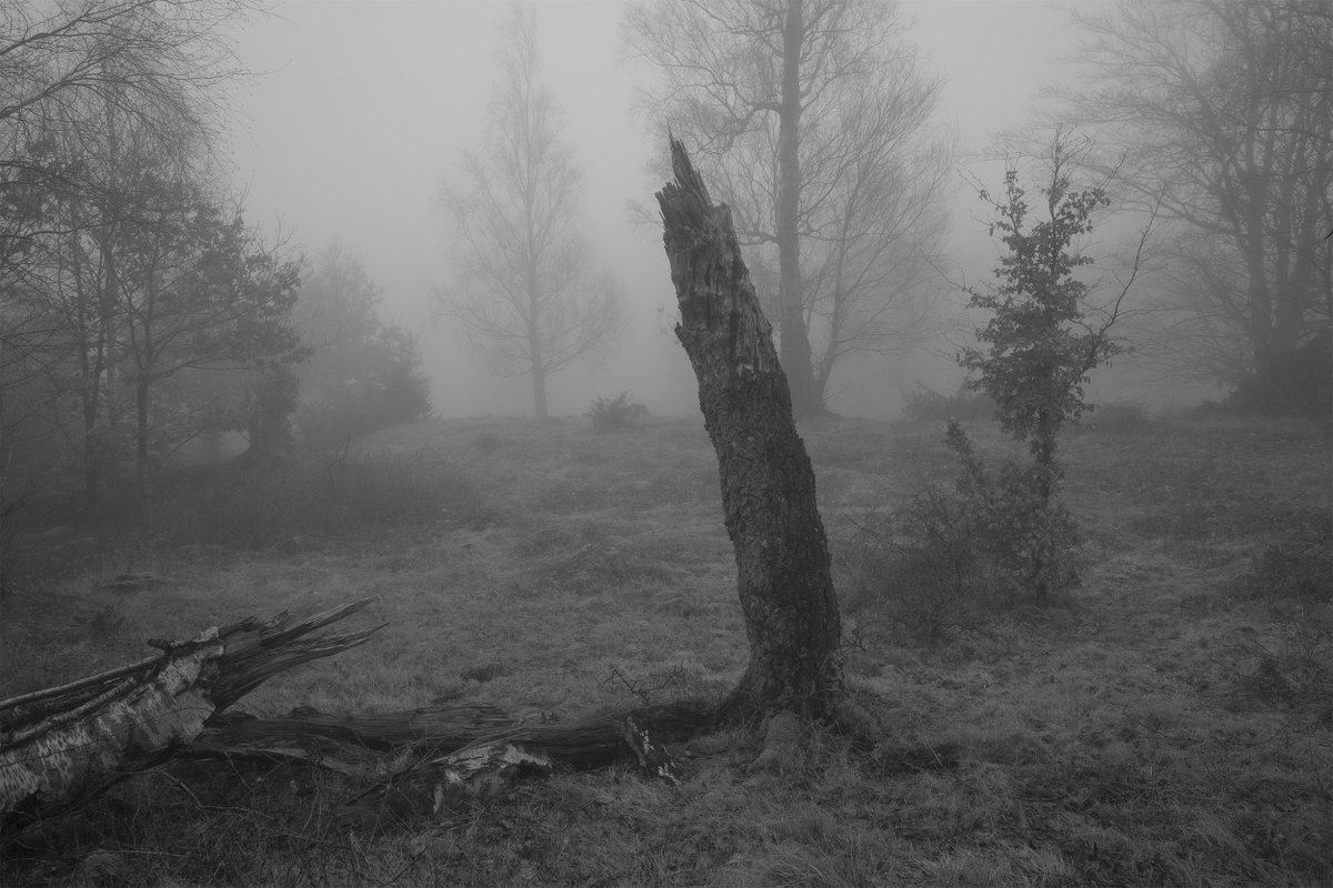 Alexander (@juststrangefeel) on Twitter photo 