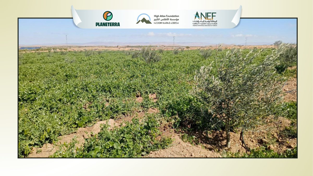 High Atlas Foundation tweet media