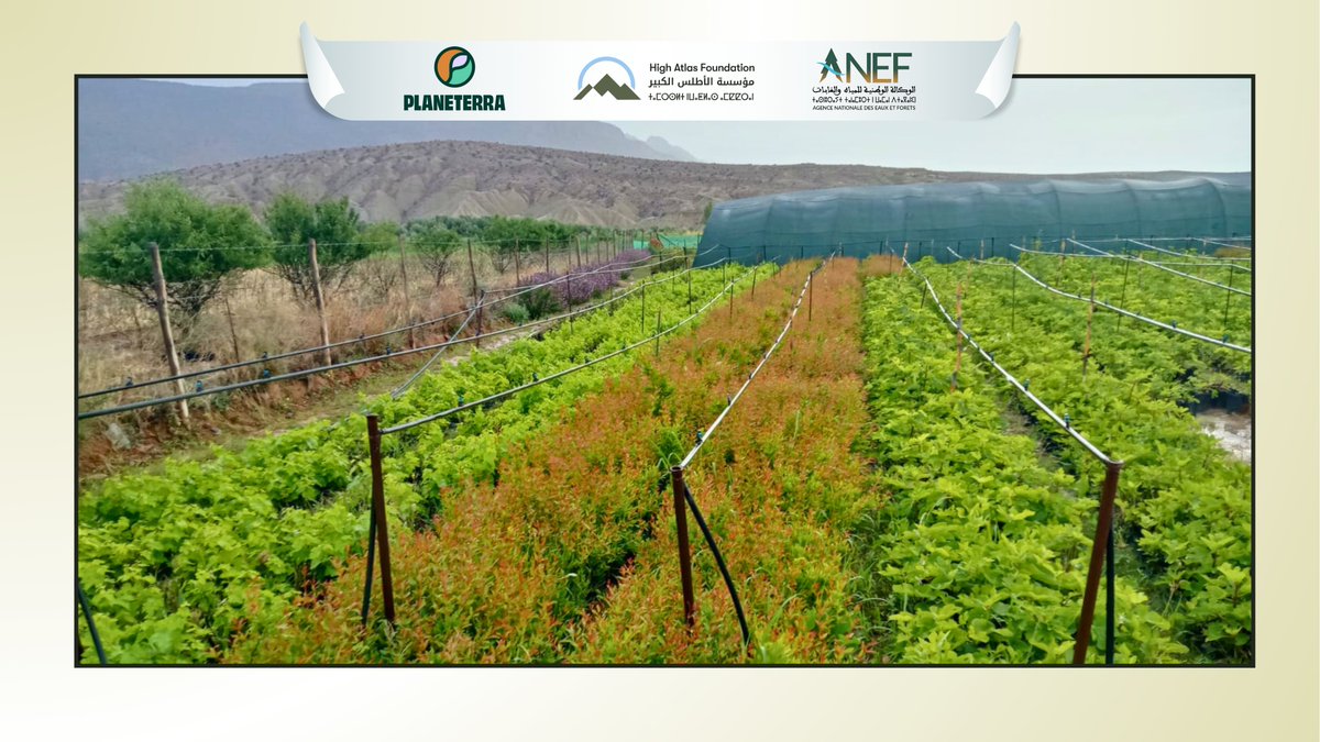 High Atlas Foundation tweet media