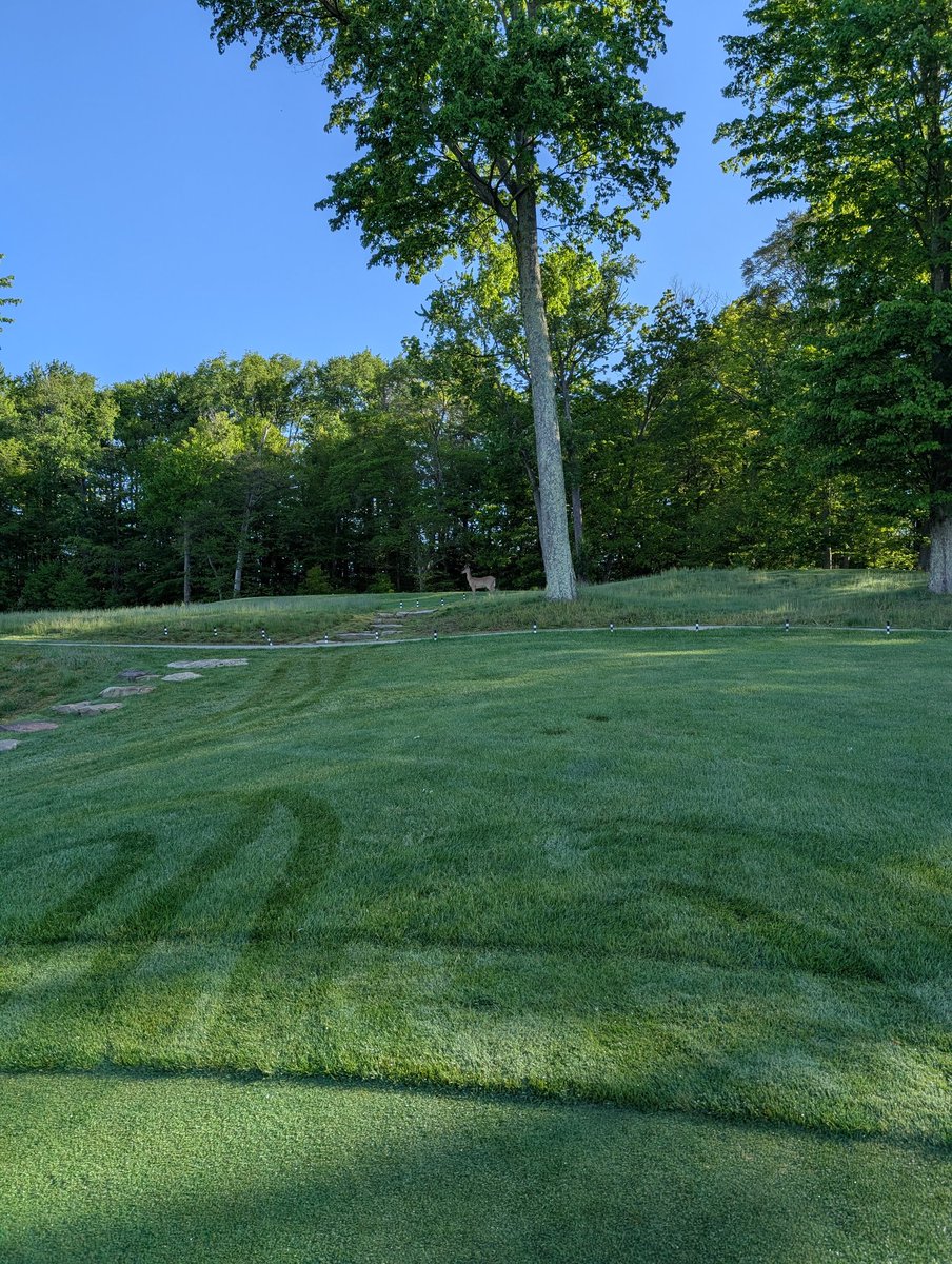 Sand Ridge Golf Club Grounds tweet media