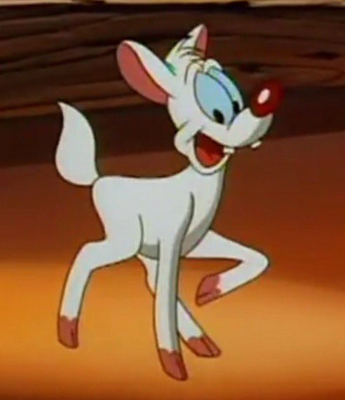 daily pinky and the brain! tweet media