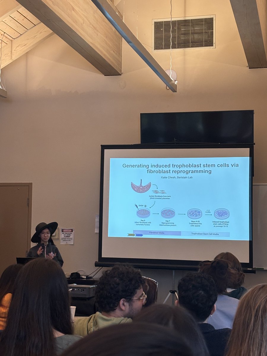 Beristain Lab tweet media