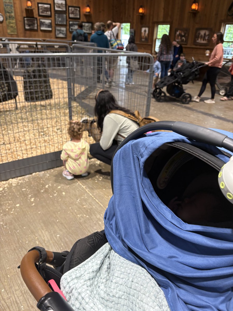 Drew Mitrisin tweet media