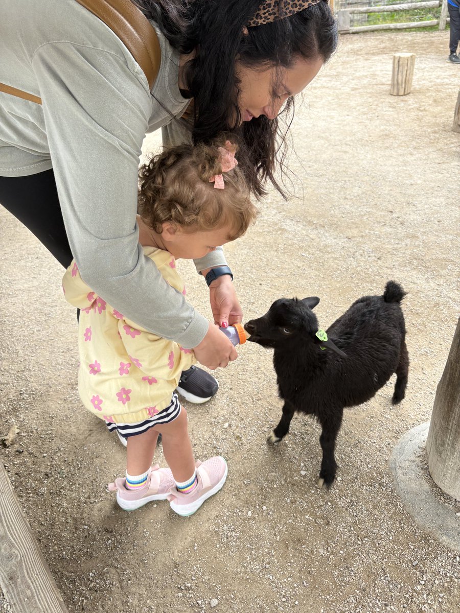 Drew Mitrisin tweet media