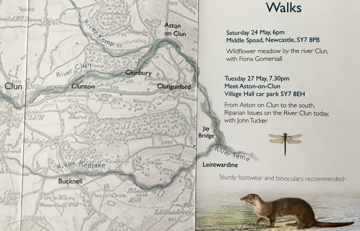 The River Clun Festival is happening! Soggy but happening! Actually not soggy at all 🙃yet in fact the river could benefit by getting a bit soggier! Have a read and maybe pop along!  #walks #talks #music #art