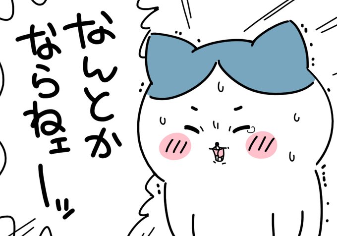 なんとかならないハチワレ 
