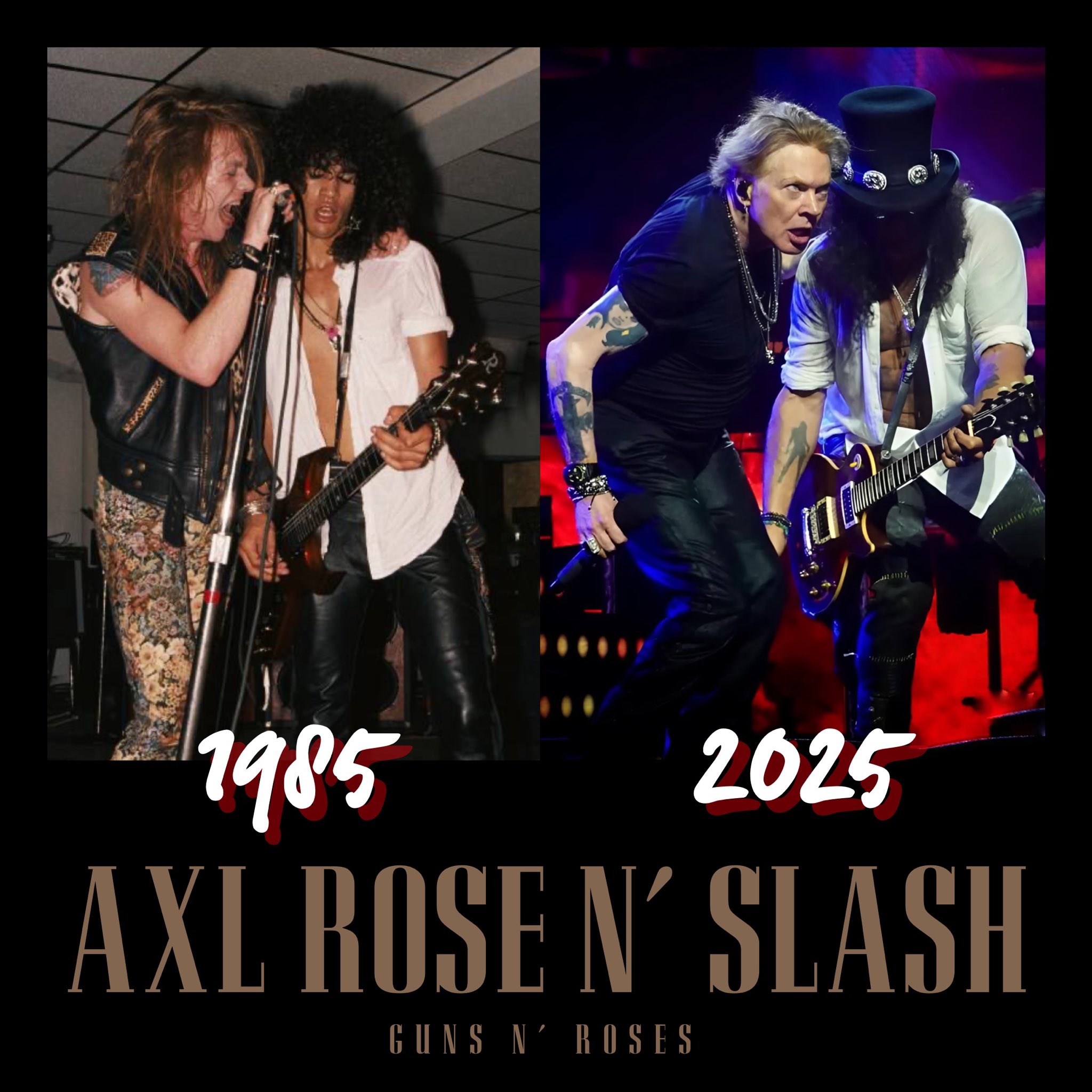 【新品未開封】Guns N' Roses 日本公演2025 Sサイズ コレクターズDVD （ガンズ・アンド・ローゼズ2025年5月5日 横浜