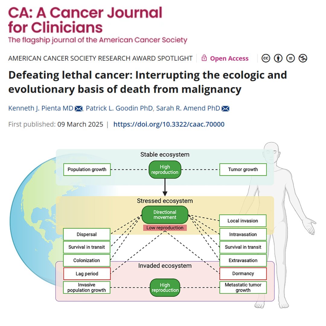 CA: A Cancer Journal for Clinicians (@cacancerjournal) on Twitter photo The dual capacity for cancers to metastasize and resist systemic treatment is the tipping point for driving lethal cancer. Drs. Pienta, Goodin & Amend explore how eco-evolutionary principles can guide new interventions: acsjournals.onlinelibrary.wiley.com/doi/full/10.33… <a href="/Cancerecology/">Kenneth Pienta</a> <a href="/sr_amend/">Sarah R. Amend, Ph.D.</a> <a href="/OncoAlert/">OncoAlert</a> The dual capacity for cancers to metastasize and resist systemic treatment is the tipping point for driving lethal cancer. Drs. Pienta, Goodin & Amend explore how eco-evolutionary principles can guide new interventions: acsjournals.onlinelibrary.wiley.com/doi/full/10.33… <a href="/Cancerecology/">Kenneth Pienta</a> <a href="/sr_amend/">Sarah R. Amend, Ph.D.</a> <a href="/OncoAlert/">OncoAlert</a>