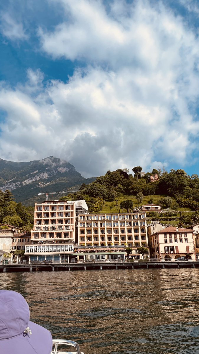 Unfortunately it appears that an infestation of Florida Sprawl Cranes is rapidly spreading in some of the most beautiful locations in Europe such as Lugano, Switzerland and Lake Como, Italy. Hopefully they are able to manage this condition responsibly.