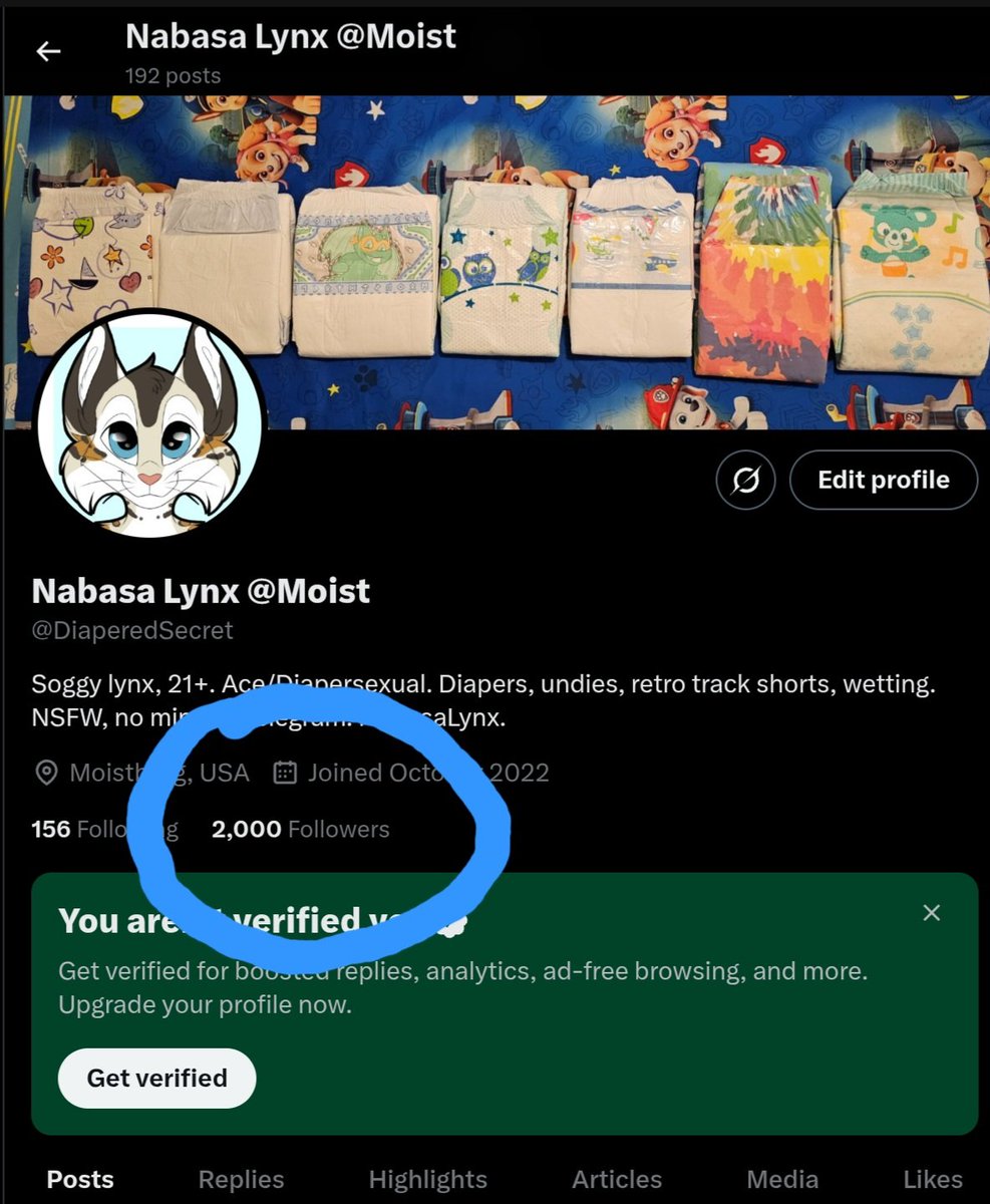 Damn! Thanks fuzzballs! People really get moist over padded fursuit pics...