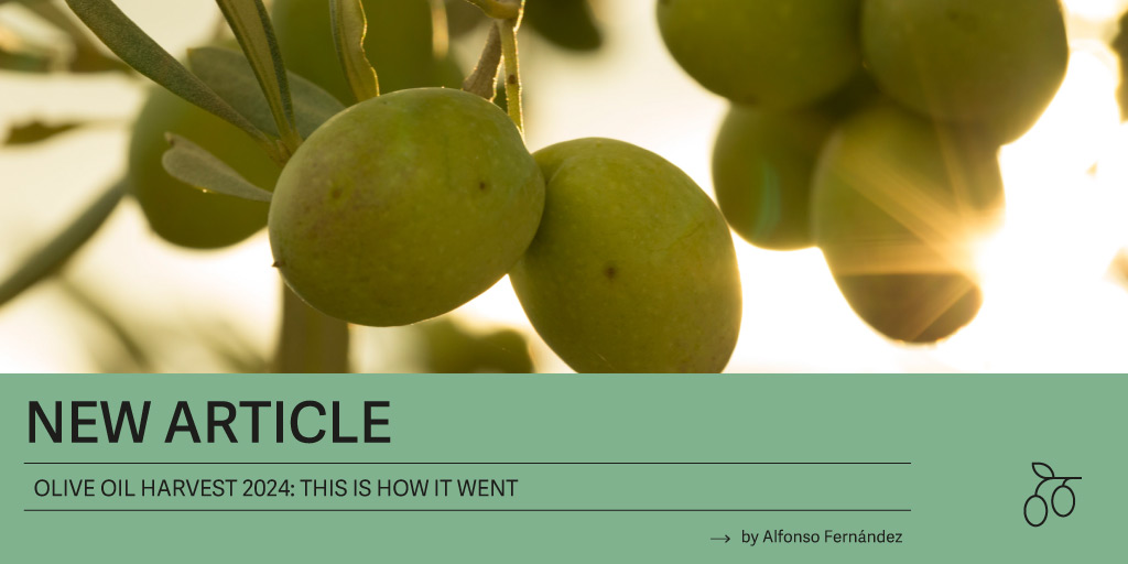 Discover all the peculiarities of the main olive-growing areas in Spain🫒
Read more: bit.ly/456pAeO

#oliveoil #spain #AOVE #food