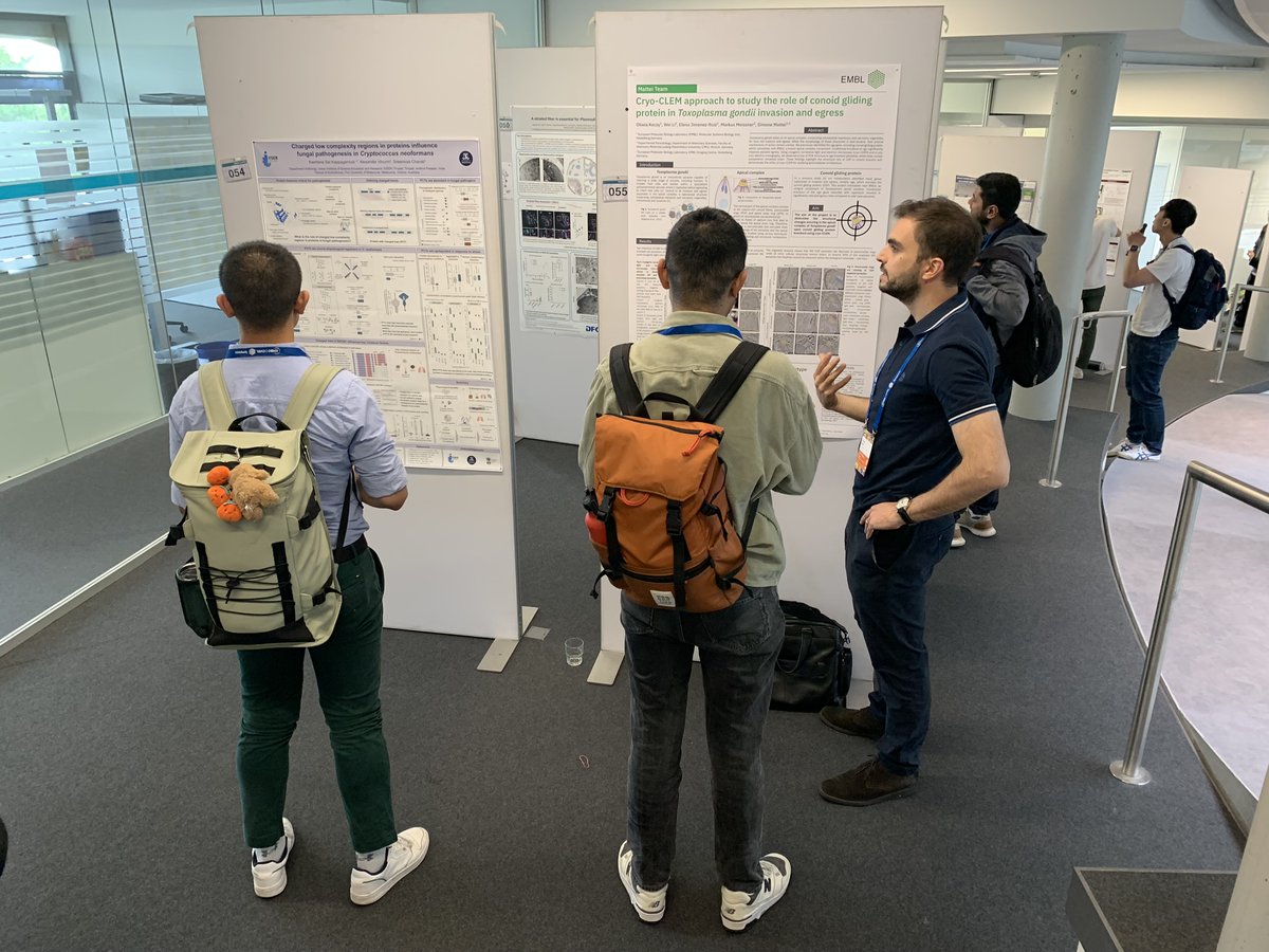 🦠💡 After a day of inspiring talks, the first #EESInfection poster session is the perfect opportunity to explore fresh research, ask questions, and dive into the details that matter.

Bring your curiosity and be ready for conversations that could spark your next big idea! 💬✨