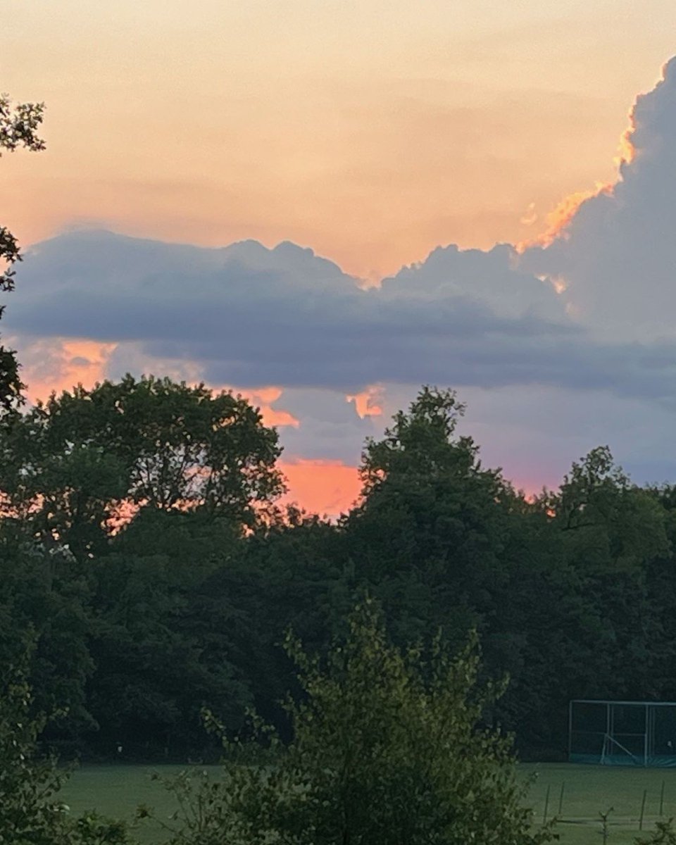 Gorgeous sunset light and clouds over Highgate Wood recently!

📷 Cindy, Senior Ranger