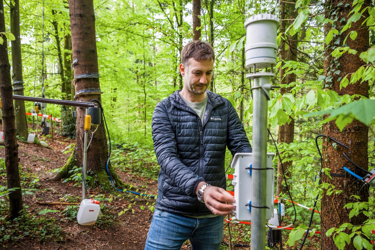 Five years ago we started with first installations and sampling at our WaldLab Forest Experimental Site!  🌲 💧 Thanks to all the amazing people that supported me in the last years and enabled us to do exciting research! ethz.ch/en/news-and-ev…