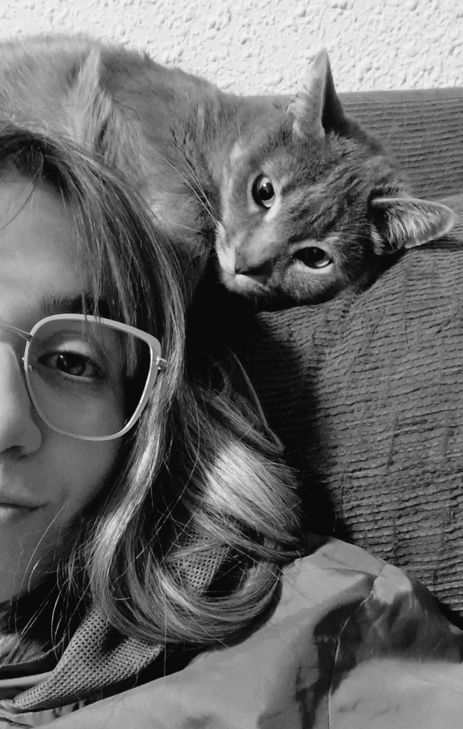 Con el tamaño de mis gafas y aparentando 16 años deberían de darme 200€ de ayuda para cuando las cambie.  (El gato va para sindicalista, es gordo, gandul y come marisco)