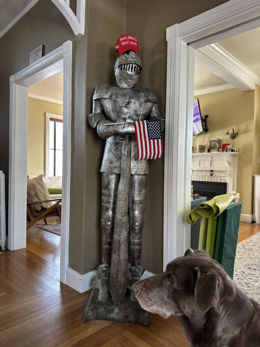 🇺🇸 MAGA❤️🤍💙