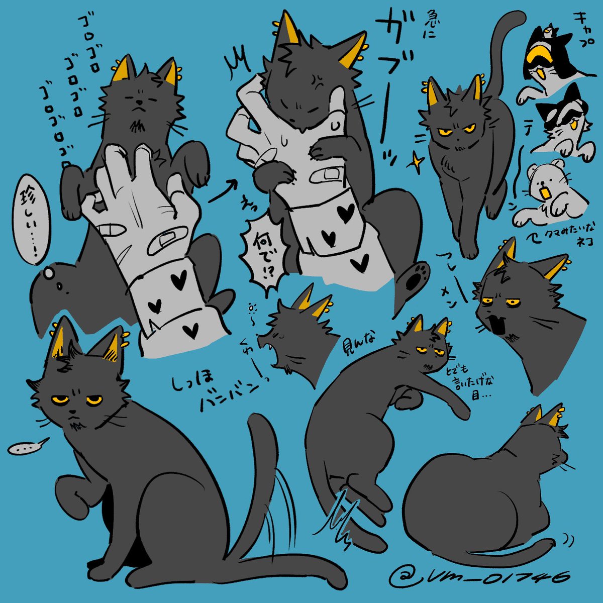 vm_01746's tweet photo. ワンニャン🐯❤️‍🔥 https://t.co/lmaqlvZuXi