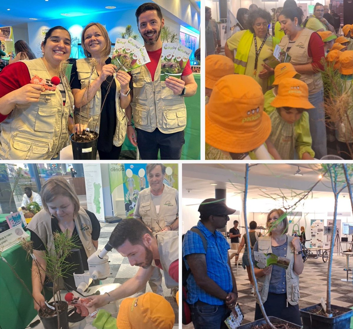 🌿 PurPest was featured at the Oeiras Valley Science Festival last week!
🔬 Families explored pest prevention through hands-on demos, kids used microscopes, &amp; our video on the pinewood nematode played on loop! 🎥
🔎 Read more about it at purpest.eu/news/oeiras-va…