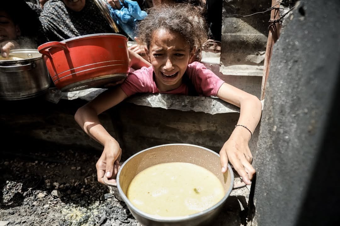 ستُسألون عن هذا الجوع، عن كل دمعة أم، وعن كل بطن فارغ، وعن كل جسد ضامر.. فاستعدوا للجواب أو استعدوا للعقاب.
#جريمة_القرن
#غزة_تناديكم