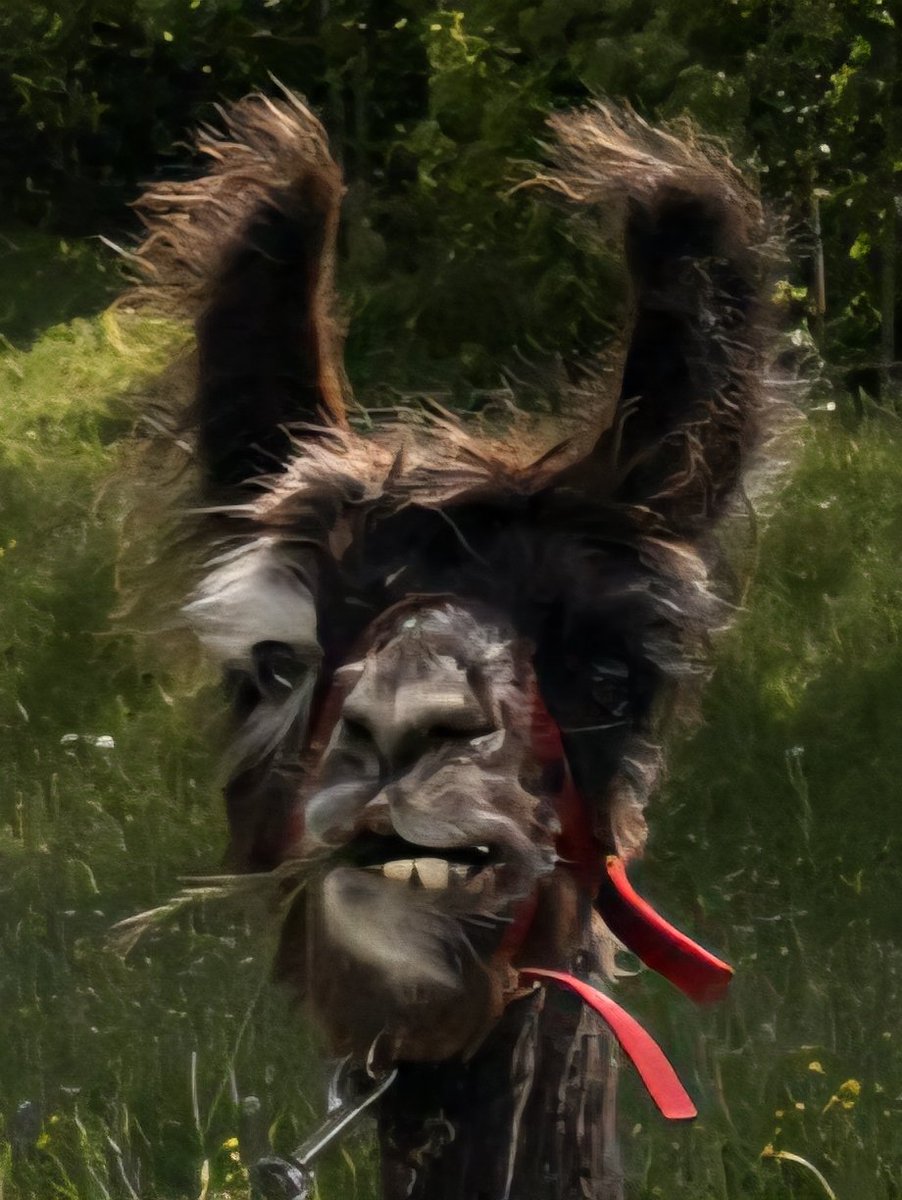 S.E. Robinson, Jr. tweet media