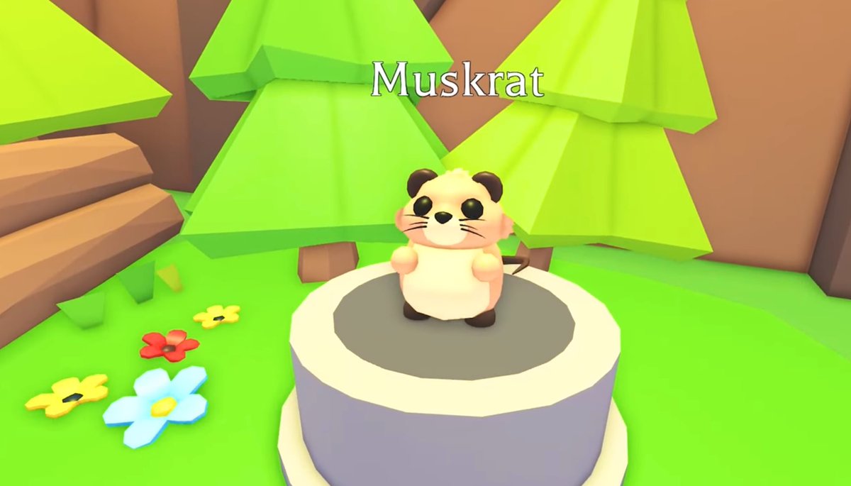 Adopt the uncommon Muskrat for 950 bucks in the new camp shop on Friday!
#AdoptMe