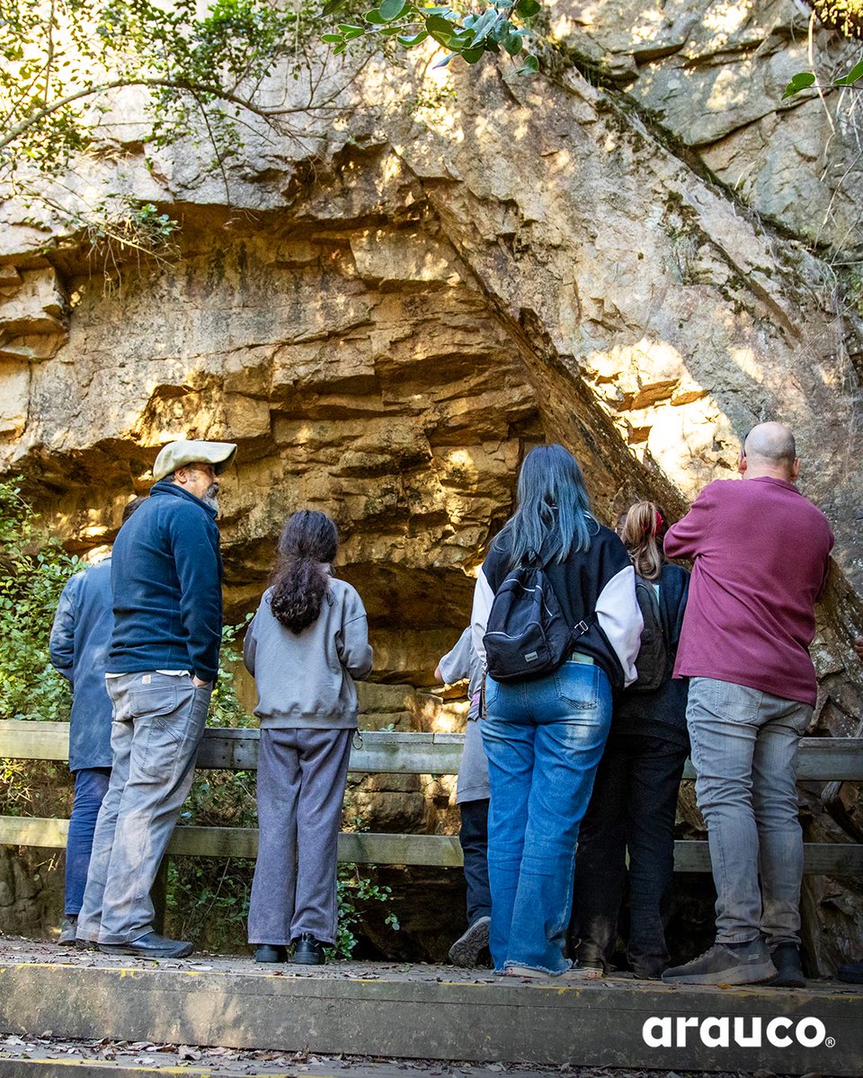 Un viaje al pasado en el corazón del Maule 🌊⛰️

En el Día de los Patrimonios, familias y visitantes recorrieron el Museo de Sitio Cuevas de Quivolgo, en Constitución, un verdadero tesoro arqueológico ubicado en un antiguo acantilado fósil.

Allí se han hallado herramientas de