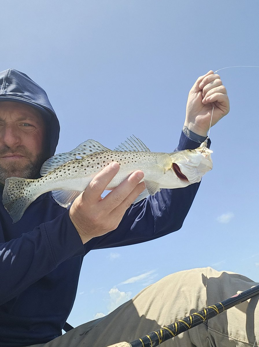 Critical Reads! tweet media