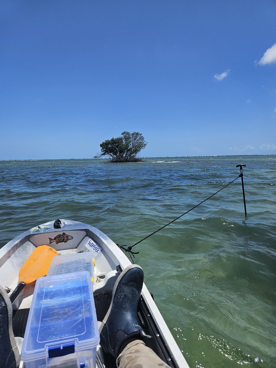 Critical Reads! tweet media