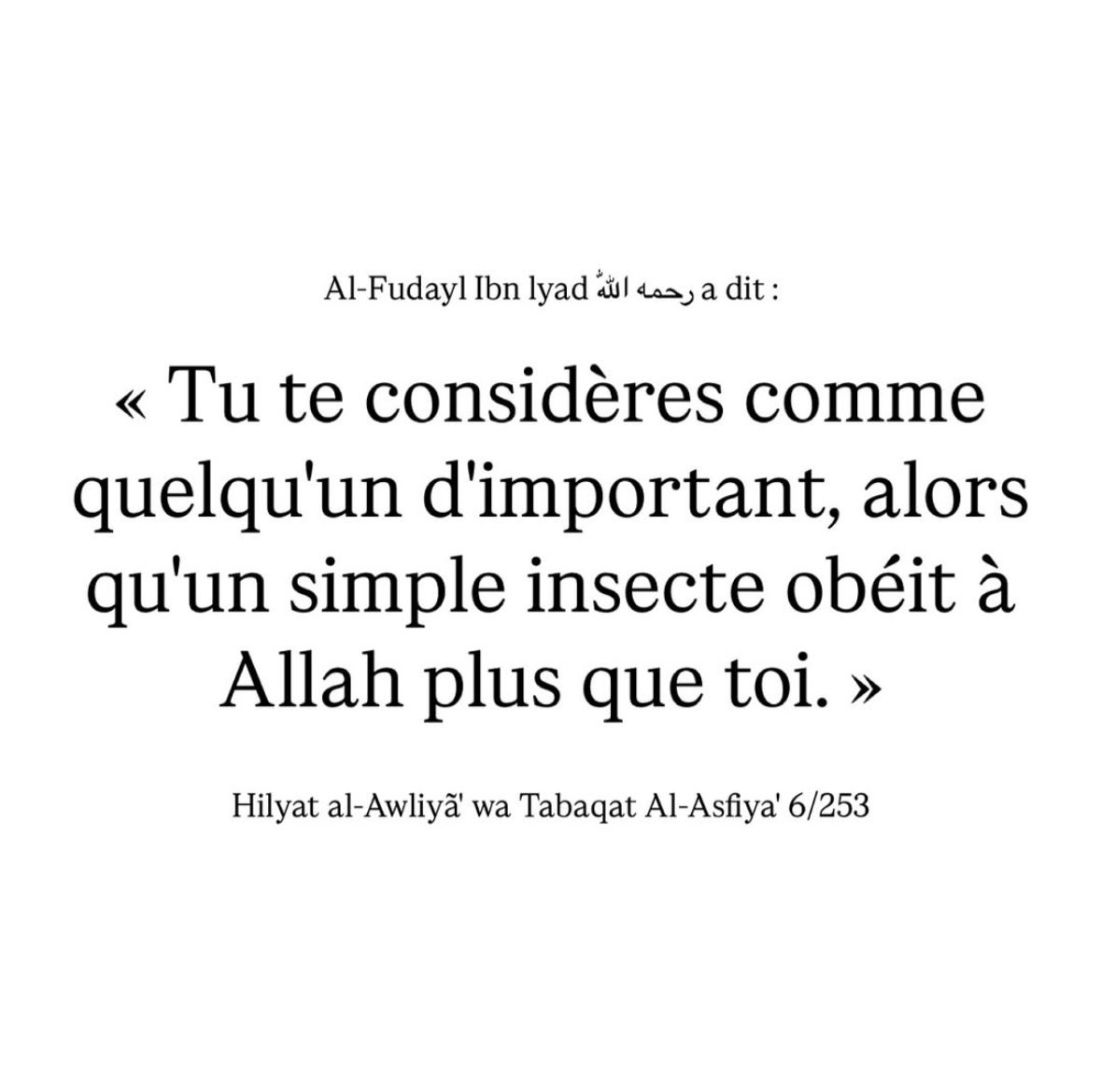 bilel_tawhid's tweet image. Il pique celui-là subhanAllah…

Qu’Allah nous raffermisse sur sa religion. 

امين